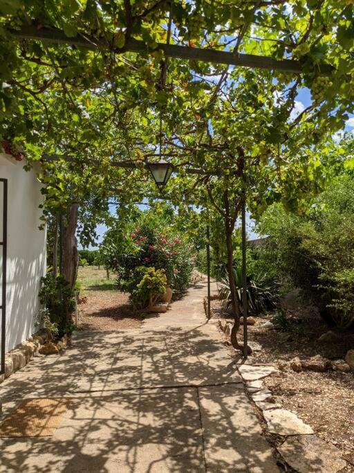Casa Rural Frente Al Mar La Toscana Лес Касес д'Алканар Екстериор снимка